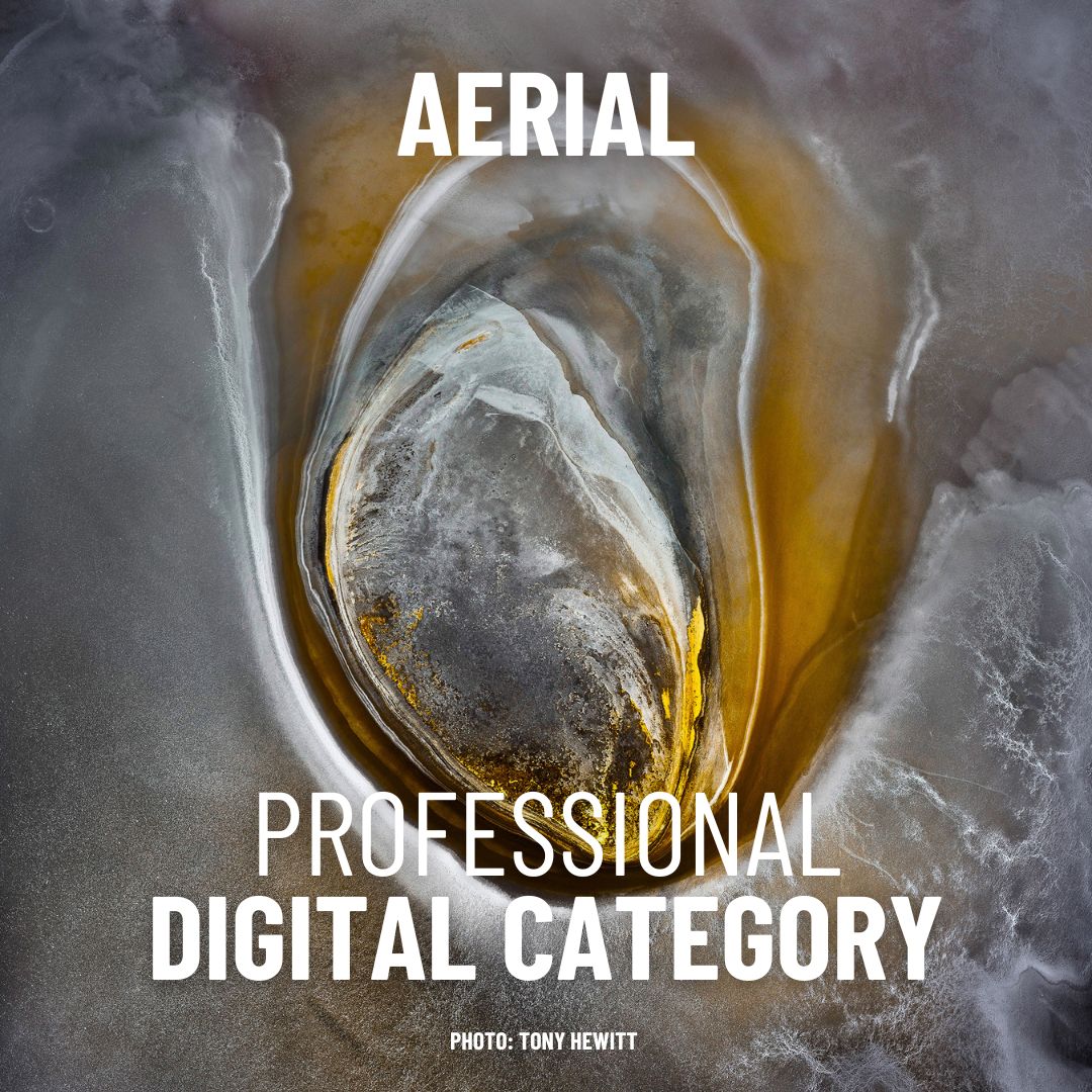 Digital Professional - Aerial