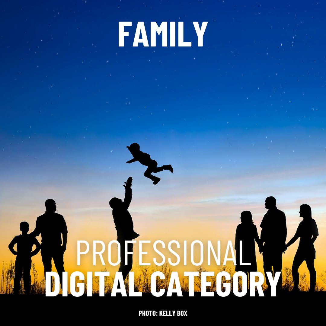 Digital Professional - Family (including Maternity/Newborn)