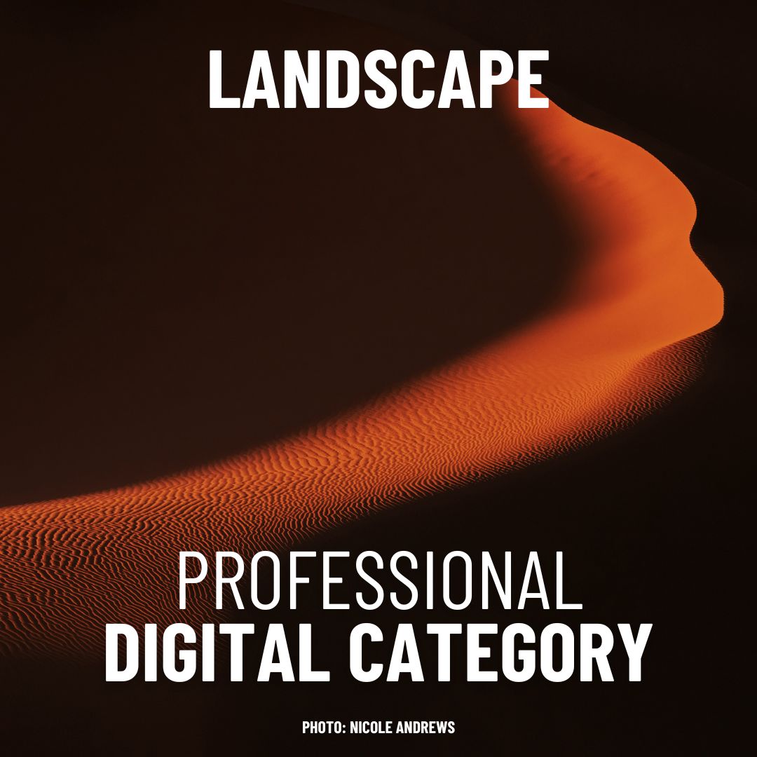 Digital Professional - Landscape