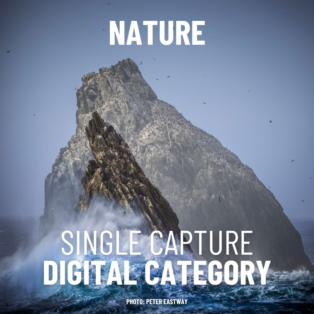 Digital Single Capture - Nature