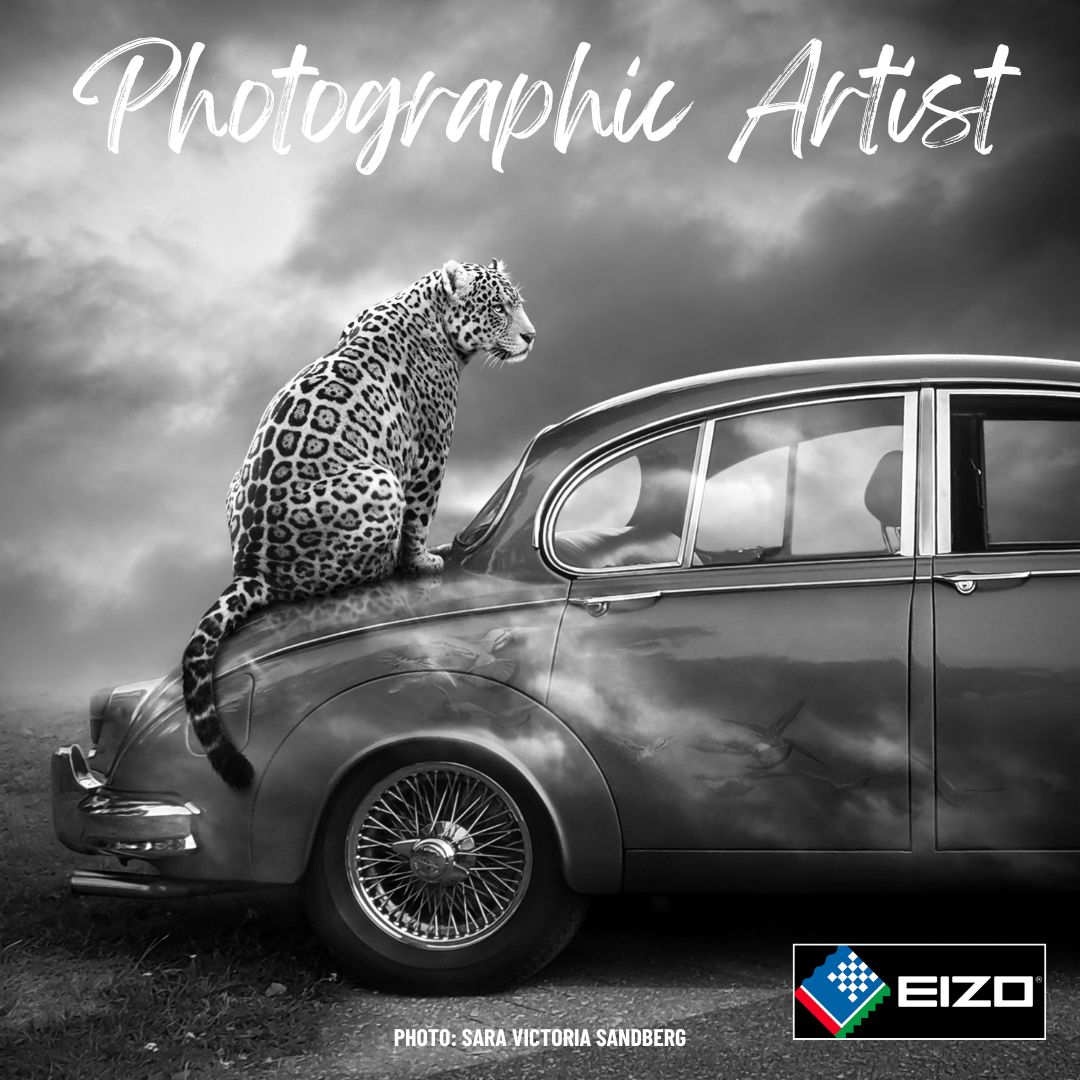 Digital EIZO Photographic Artist Award